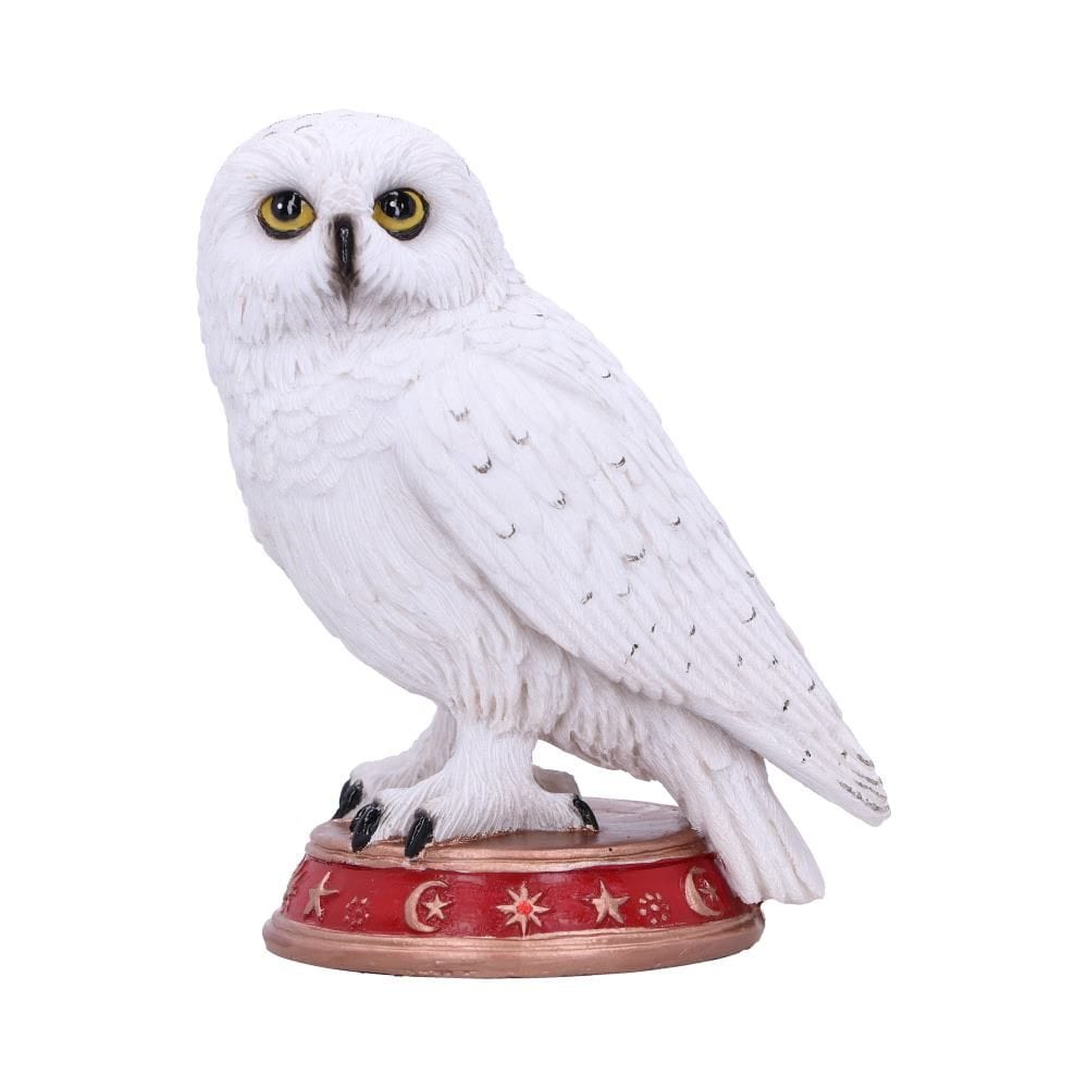 Nemesis Now Ornament Wizard's Familiar Owl Figurine 10cm B5901V2