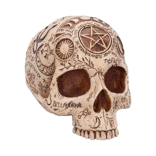 Apothecary Skull Figurine