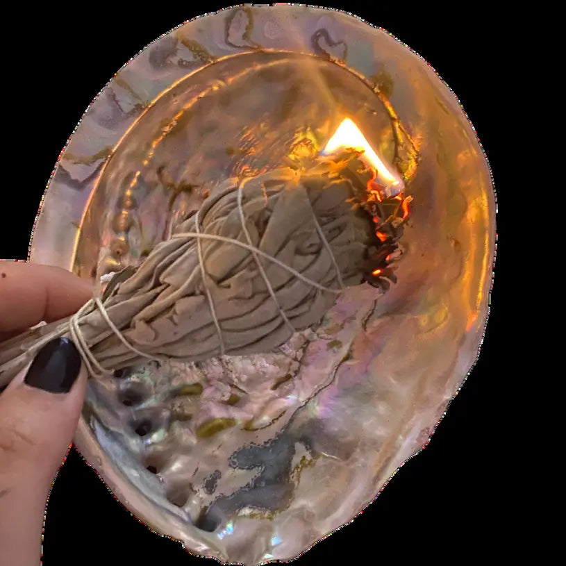 A white sage smudge stick smouldering in an abalone shell.