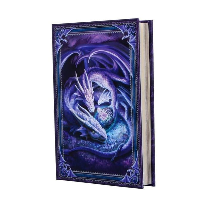 NEMESIS NOW Journal Welcome Hatchling Journal (AS) 17cm B7541B26