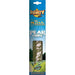 Apollo Accessories Ltd Pear Incense Sticks 39175