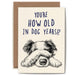 Bewilderbeest Ltd Greeting Card Dog Years Card B05-01