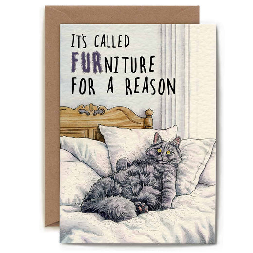 Bewilderbeest Ltd Greeting Card Furniture Cat Card CT08