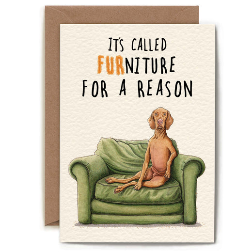 Bewilderbeest Ltd Greeting Card Furniture Dog Card D19
