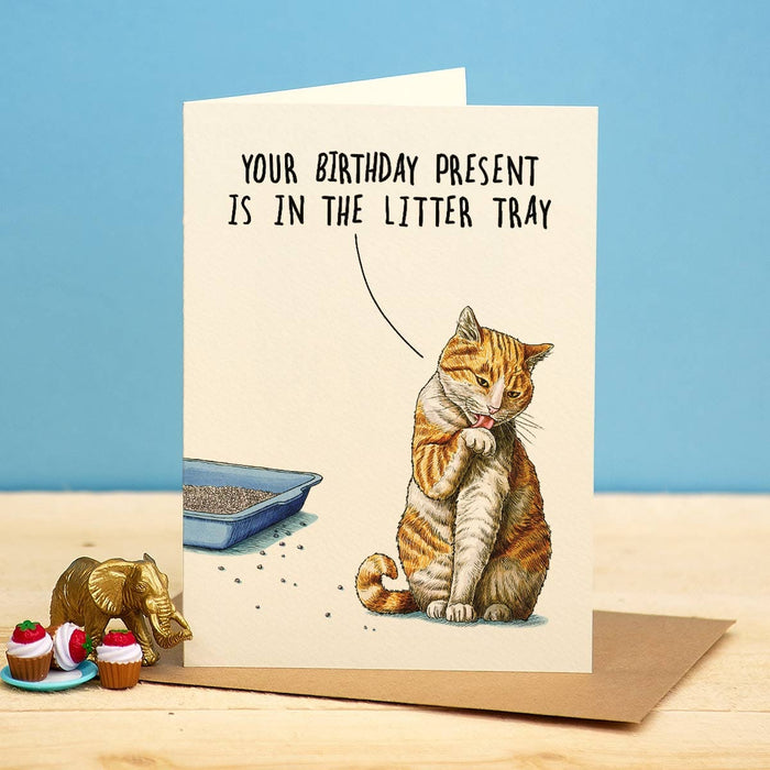 Bewilderbeest Ltd Greeting Card Litter Tray Present Card B37