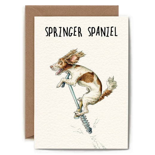 Bewilderbeest Ltd Greeting Card Springer Spaniel Cards D25