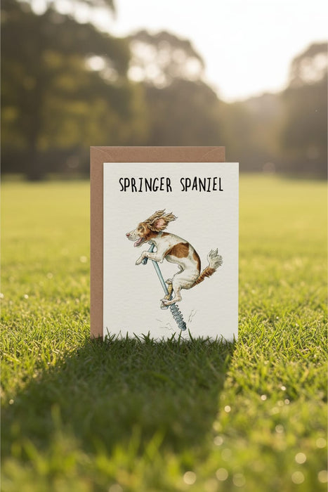 Bewilderbeest Ltd Greeting Card Springer Spaniel Cards D25