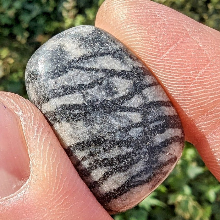 Black Line Jasper Gemstone — Goldenhands