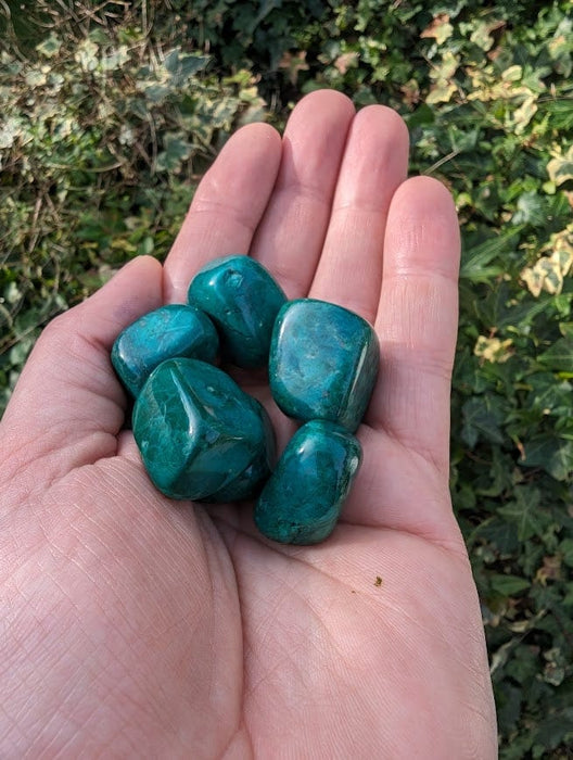 Crystal Classics Chrysocolla Howlite Gemstone