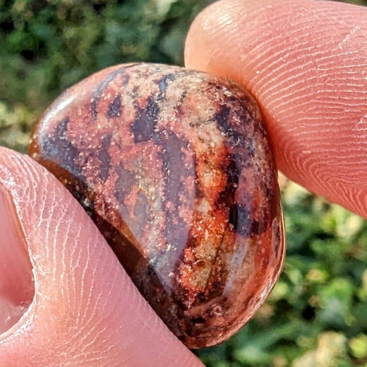 Crystal Classics Nguni Jasper Gemstone