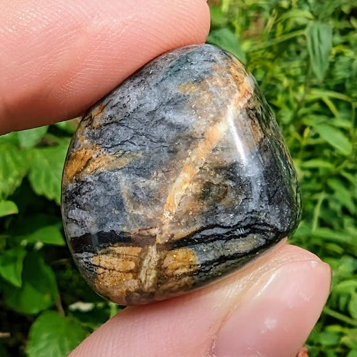 Picasso Jasper