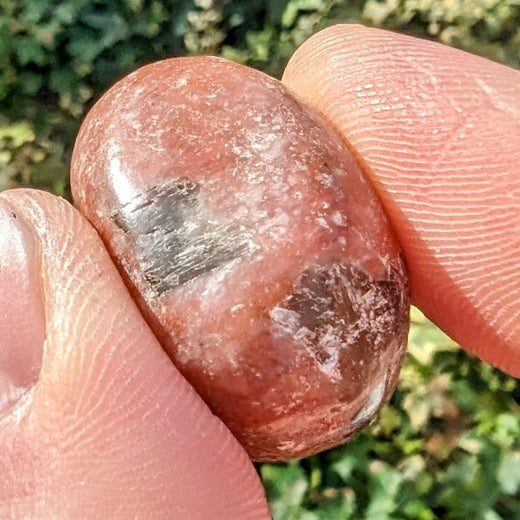 Crystal Classics Sesame Jasper Gemstone