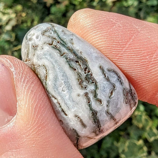 Crystal Classics Tree Agate Gemstone