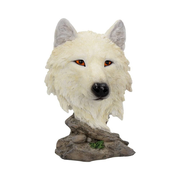 Nemesis Now Bust Snow Searcher White Wolf Bust U4199M8