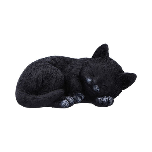 Feline Dream Nemesis Now