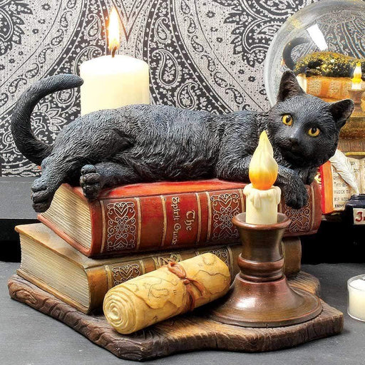 Nemesis Now Cat Figurine The Witching Hour Lisa Parker Witches Cat Figurine B2801G6