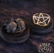 NEMESIS NOW Cult Cutie Malpuss Dreams B7520B26