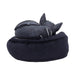 NEMESIS NOW Cult Cutie Malpuss Dreams B7520B26