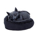 NEMESIS NOW Cult Cutie Malpuss Dreams B7520B26