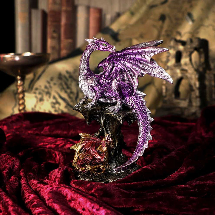 Nemesis Now Dragon Figurine Hatchling Protection U5499T1