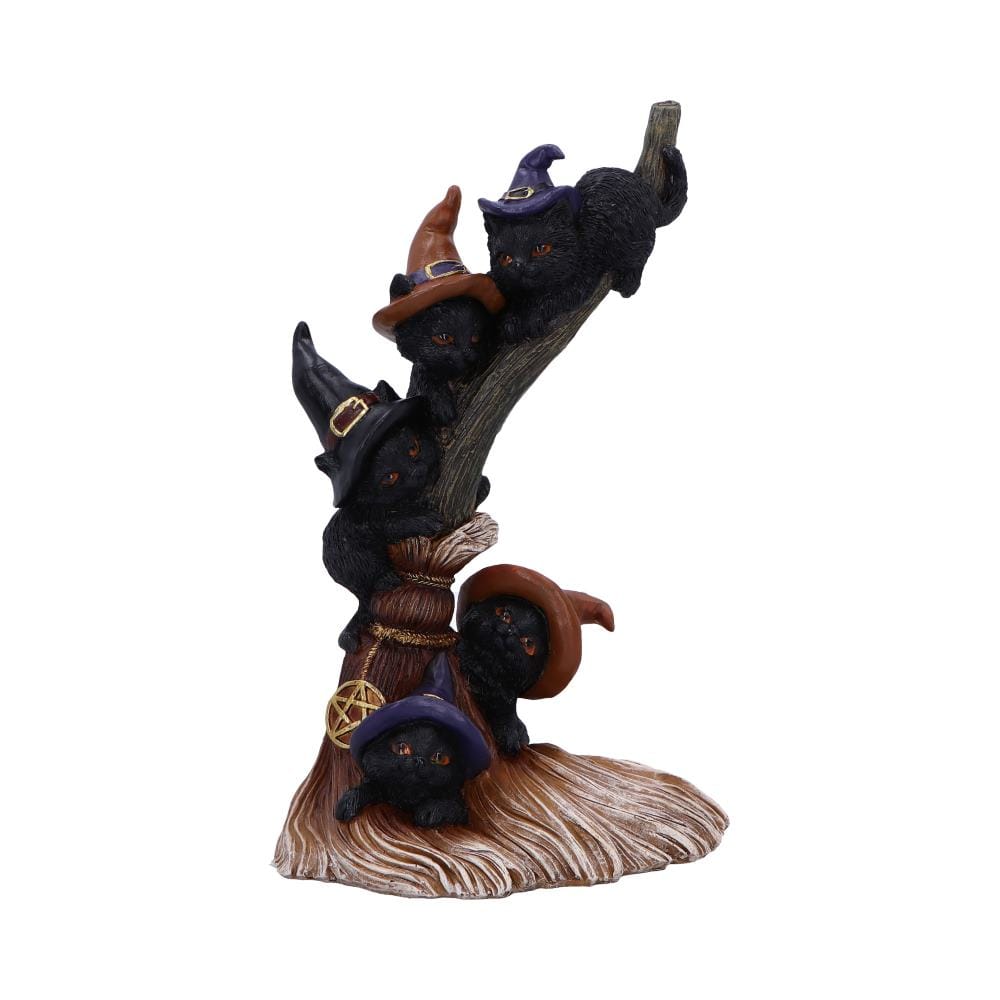 Broomstick Kindle Nemesis Now