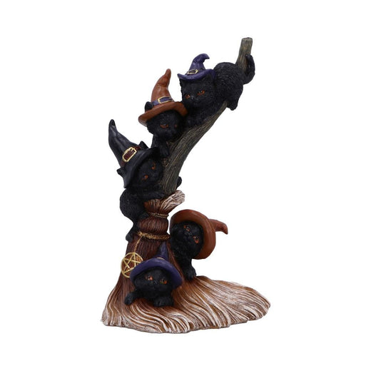 Broomstick Kindle Nemesis Now