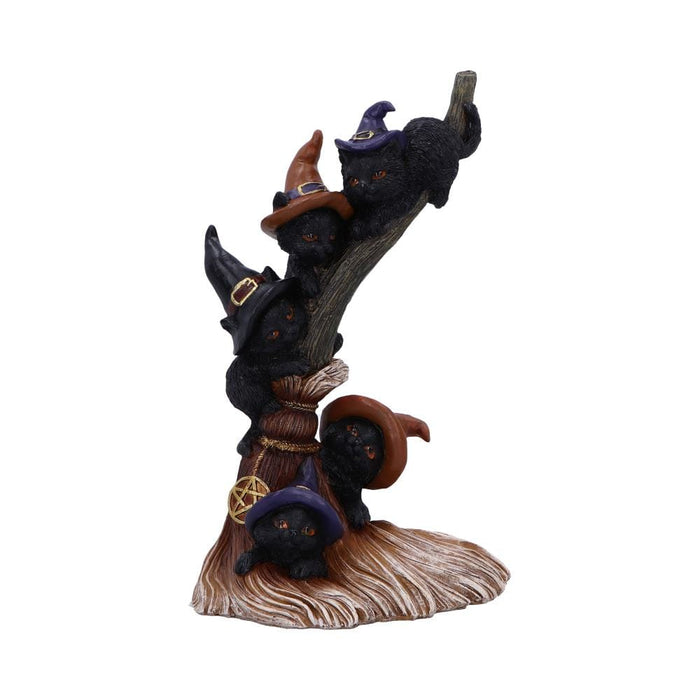 NEMESIS NOW Figurines Medium (15-29cm) Broomstick Kindle Nemesis Now U6870C24
