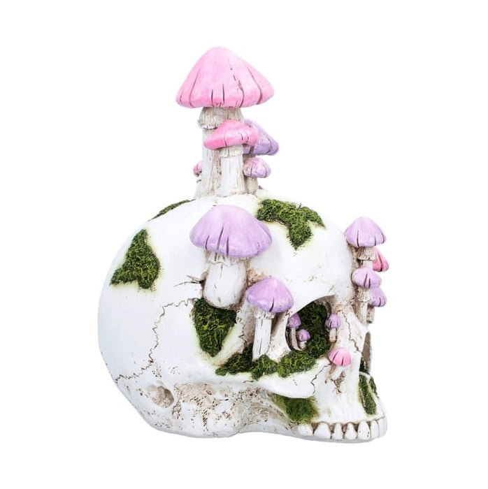 NEMESIS NOW Figurines Medium (15-29cm) Sporebound Skull Mushroom Figurine D7498B26