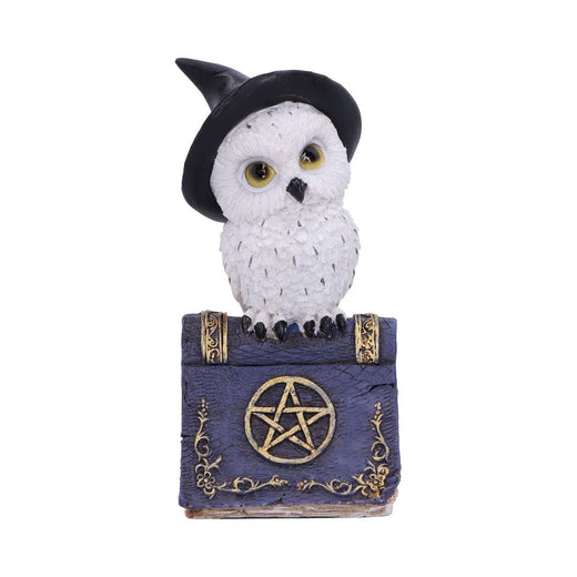 Avian Spell Blue Nemesis Now
