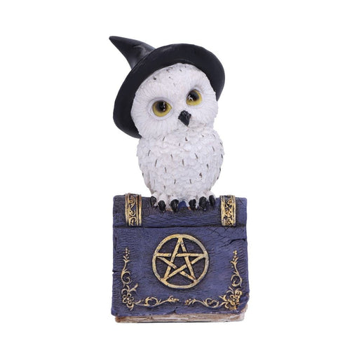 NEMESIS NOW Figurines Small (Under 15cm) Avian Spell Blue Nemesis Now U5720U1