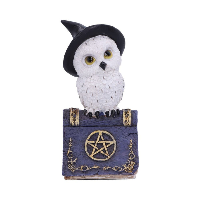 NEMESIS NOW Figurines Small (Under 15cm) Avian Spell Blue Nemesis Now U5720U1