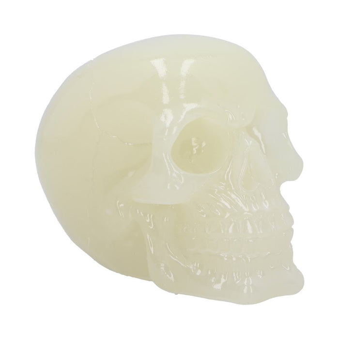 NEMESIS NOW Figurines Small (Under 15cm) Phosphorescent (Medium) Nemesis Now U6874C24