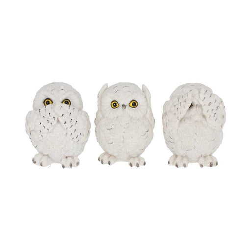 Nemesis Now Ornament Three Wise Owls U2549G6