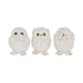 Nemesis Now Ornament Three Wise Owls U2549G6