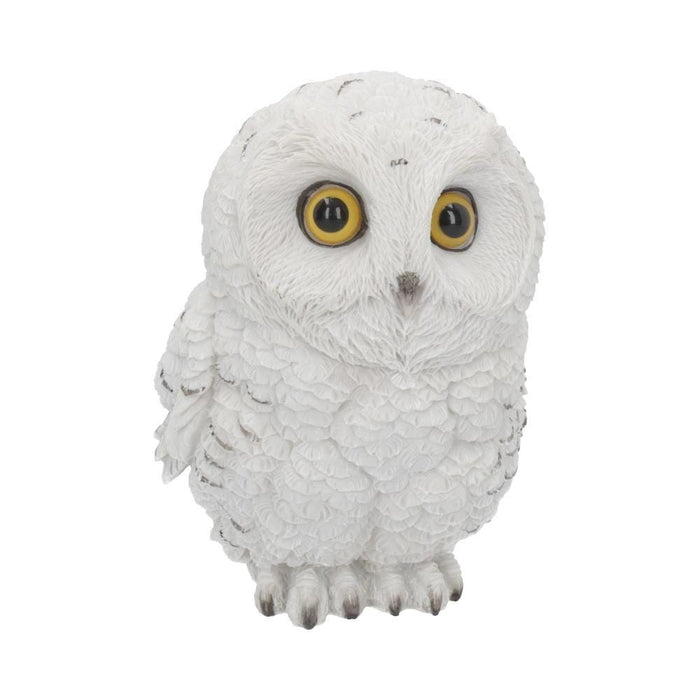 Nemesis Now Ornament Winters Wisdom Adorable Snowy Owl Figurine U4172M8