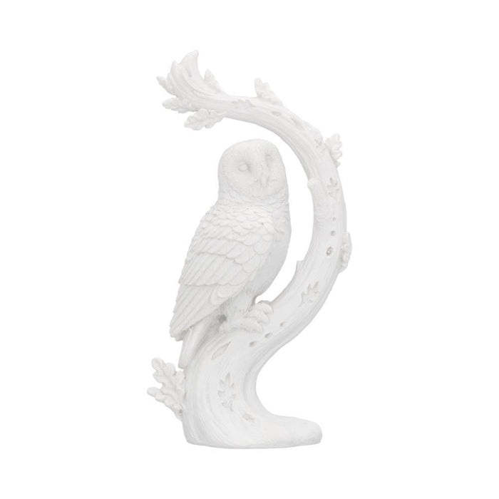 Nemesis Now Rest White Owl Figurine U6184W2