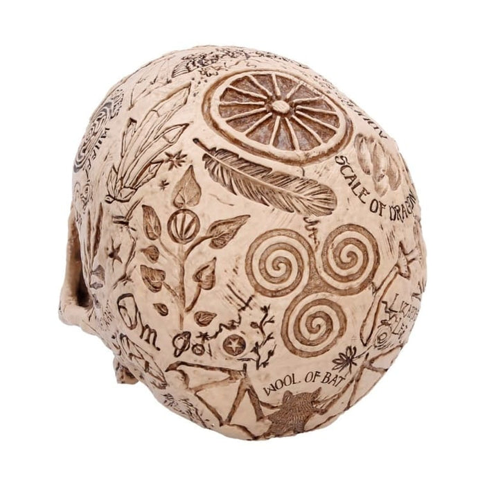 NEMESIS NOW Skull Ornament Apothecary Skull Figurine B7537B26