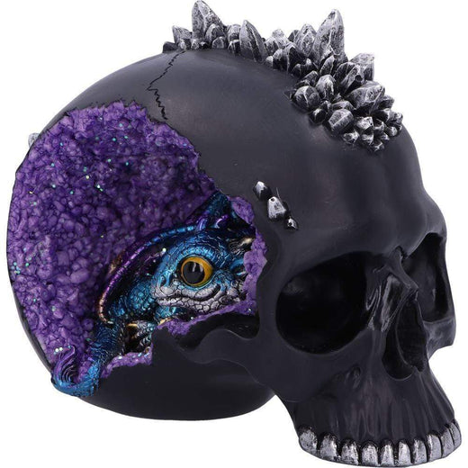 Crystal Cave Small Dragon Hiding within a Crystal Skull