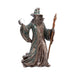NEMESIS NOW The Sorcerer D7624B26