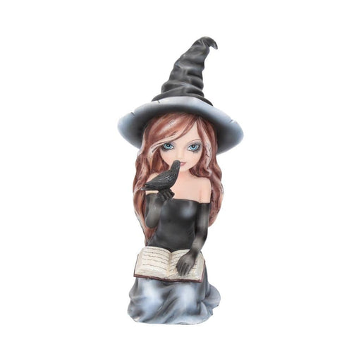 NEMESIS NOW Witch Figurine Regan Witch And Her Raven Figurine D2449G6