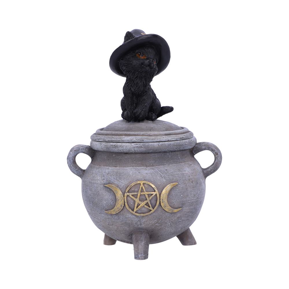 Kittys Brew Box 14cm