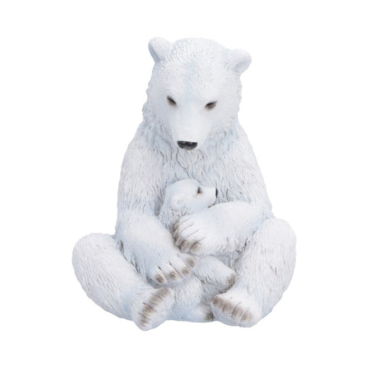 Polar Bond 12.2cm