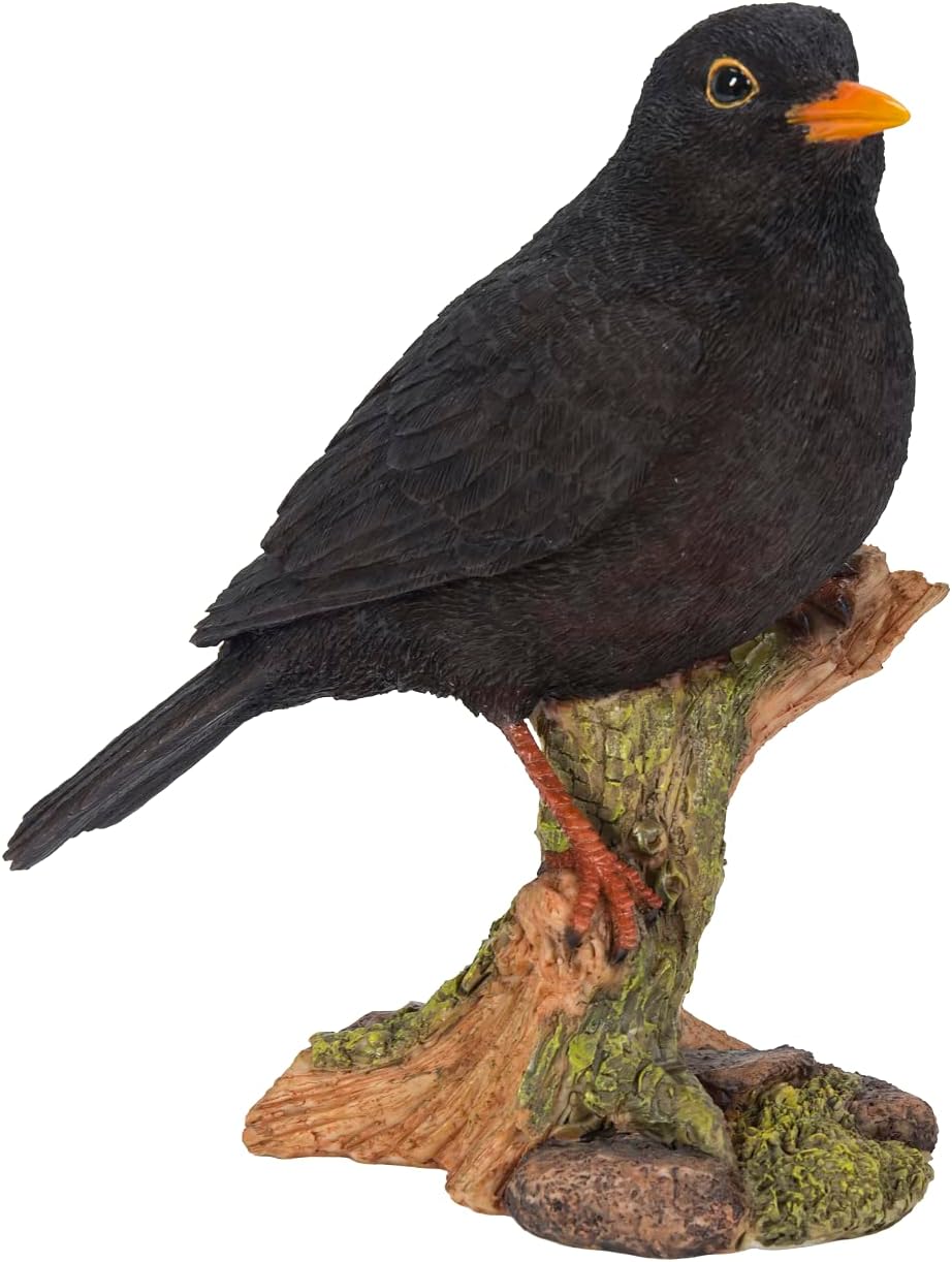 Vivid Arts Blackbird WBC-BLBD-D