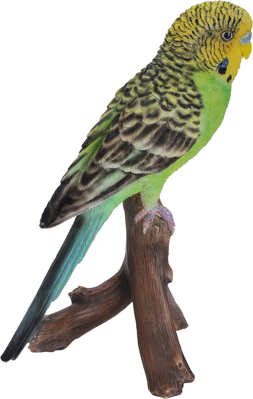 Vivid Arts Budgerigar Green PP-BDG4-F