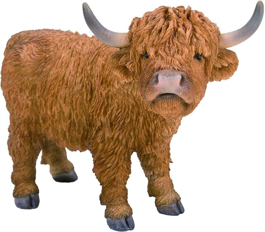 Vivid Arts Highland Cattle PP-HLCA-F