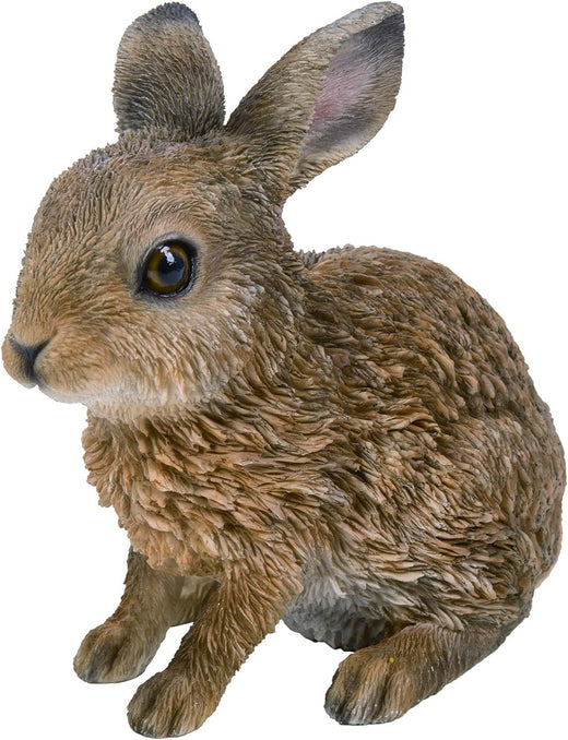 Vivid Arts Leveret XRL-LEVE-E