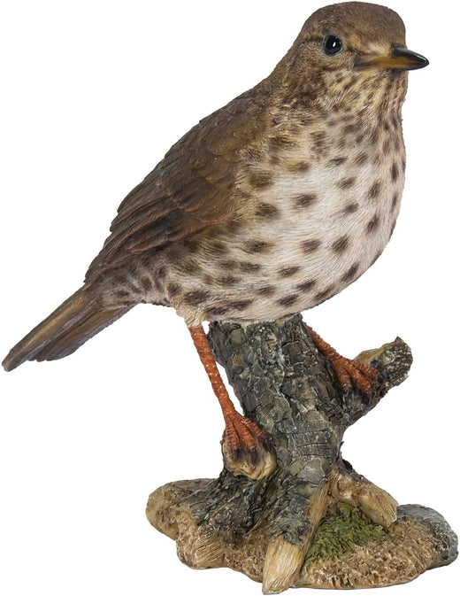Vivid Arts Song Thrush WBC-THRH-D