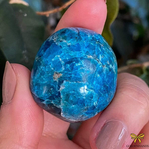 Dolphin Minerals Gemstone Apatite Gemstone