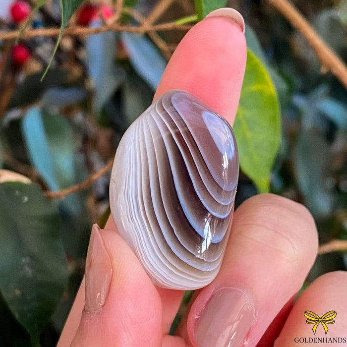 Dolphin Minerals Gemstone Botswana Agate Gemstone