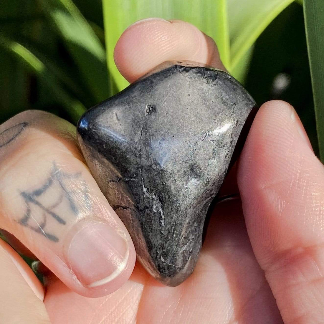 Dolphin Minerals Gemstone Shungite Gemstone